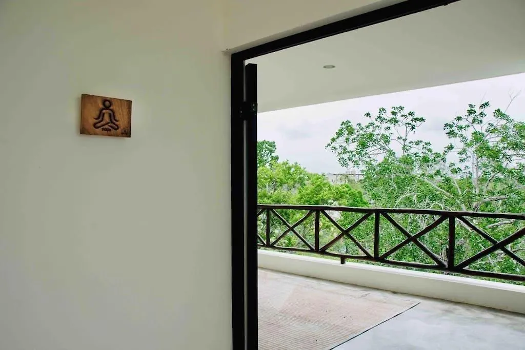 Tulum Locals Boho King Suite Wifi Pool Gymyoga Dk Apartment