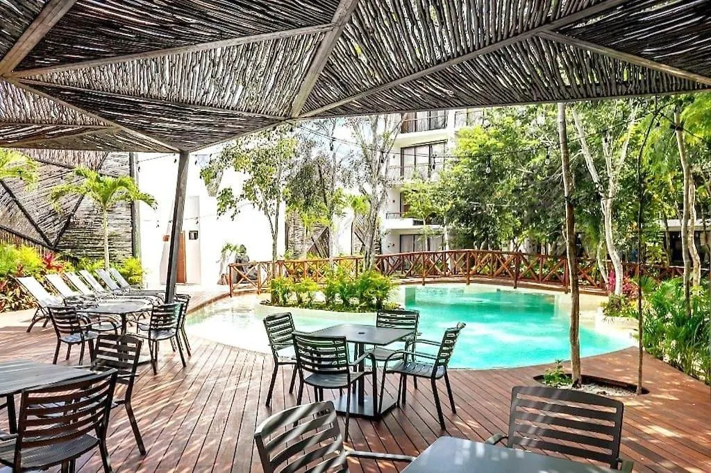 Tulum Locals Boho King Suite Wifi Pool Gymyoga Dk Mexico